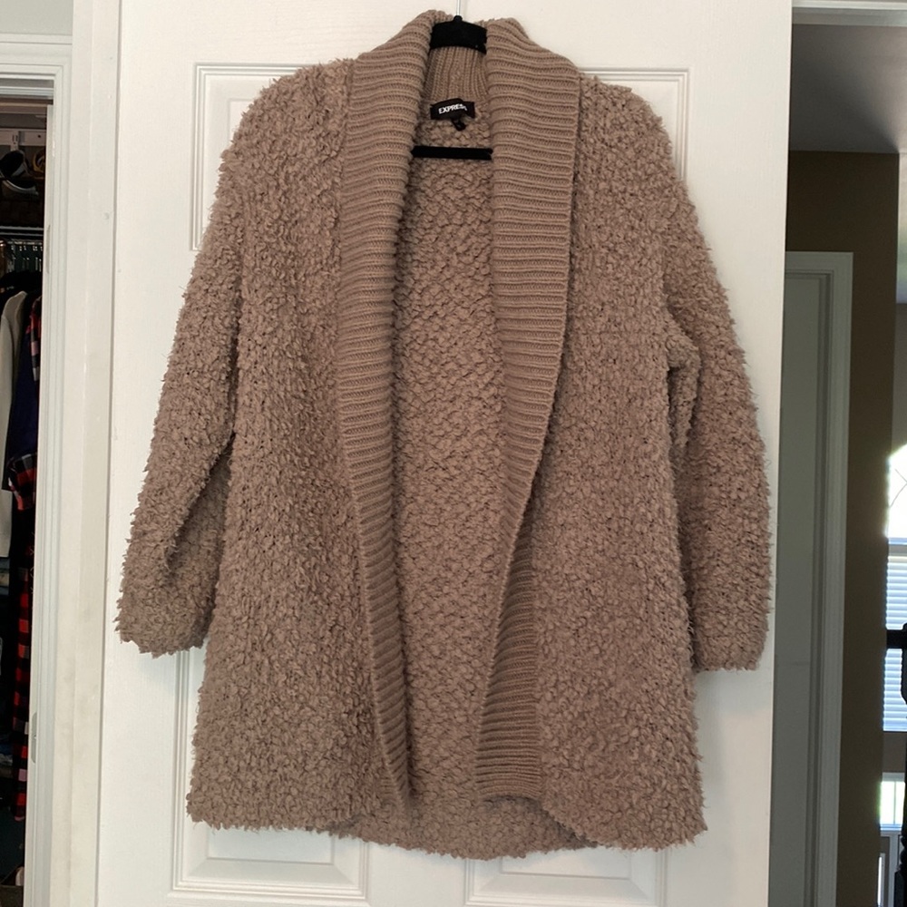 Express teddy sweater